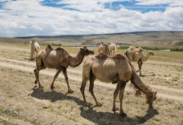 Similar image 22247800