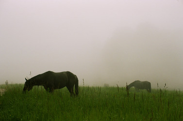 Similar image 22247542