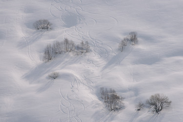 Similar image 22247734