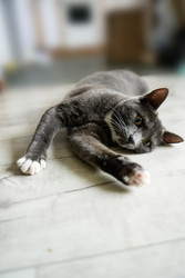 Similar image 22247737