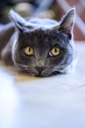 Similar image 22247739