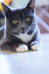 Similar image 22247740