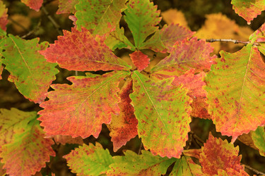 Similar image 22247741