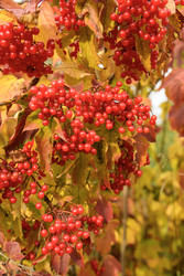 Similar image 22247744