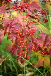 Similar image 22247745