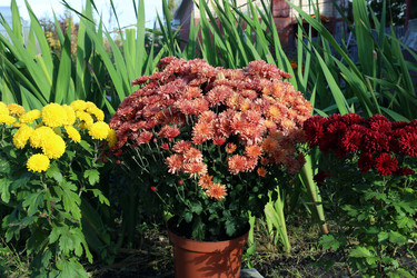 Similar image 22247750