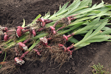 Similar image 22247752