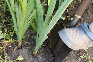 Similar image 22247753