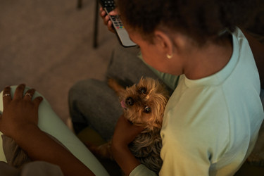 Similar image 22240646