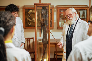 Similar image 22238260