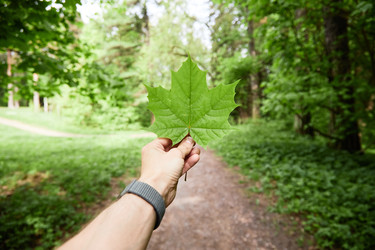 Similar image 22237899