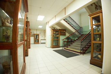 Similar image 22238233