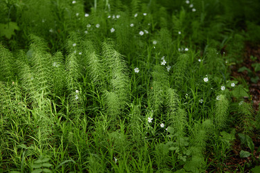 Similar image 22237938