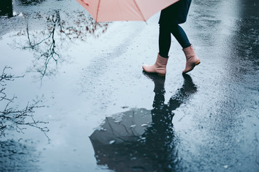 Similar image 22242299