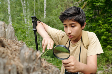 Similar image 22239213