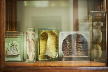 Similar image 22238236