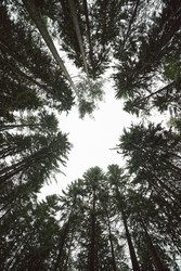 Similar image 22238377