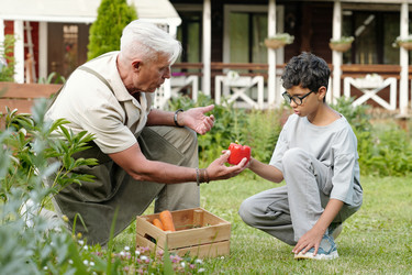 Similar image 22239410