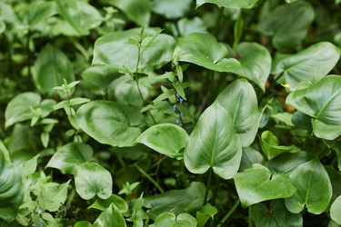 Similar image 22240867