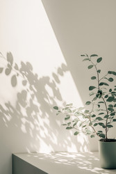 Similar image 22242318