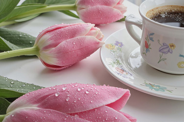 Similar image 22242071