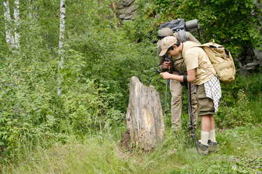 Similar image 22239212