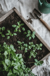 Similar image 22242275