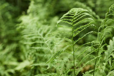 Similar image 22240900