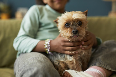 Similar image 22240672