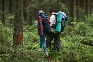 Similar image 22240882