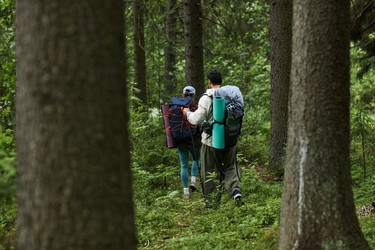 Similar image 22240898