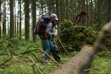 Similar image 22240864