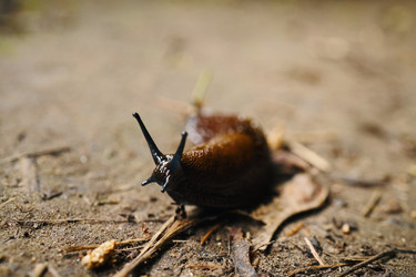 Similar image 22240232