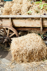 Similar image 22237895