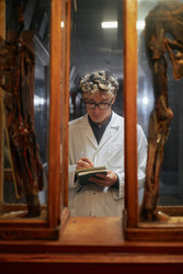 Similar image 22238254