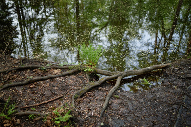 Similar image 22237931