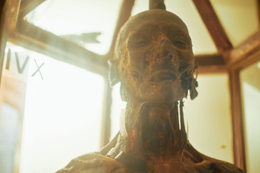 Similar image 22238259