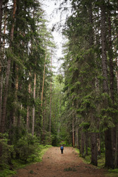 Similar image 22238343