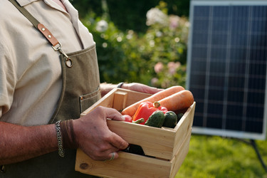 Similar image 22239412