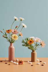 Similar image 22242578