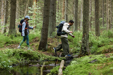 Similar image 22240930