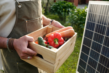 Similar image 22239414