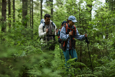 Similar image 22240902