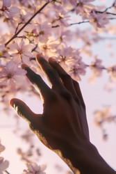 Similar image 22242319