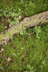 Similar image 22238369