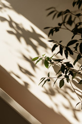 Similar image 22242326