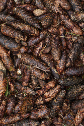 Similar image 22240937