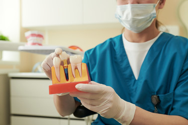 Similar image 22239181