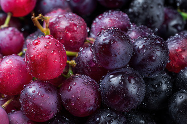 Similar image 22265754