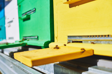 Similar image 22261407